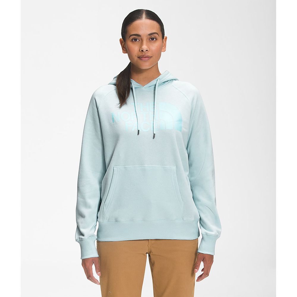 The North Face Hoodie Womens Australia - The North Face Luxe Half Dome Pullover Blue (EQP-130476)